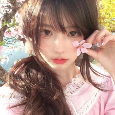 征服北极的人